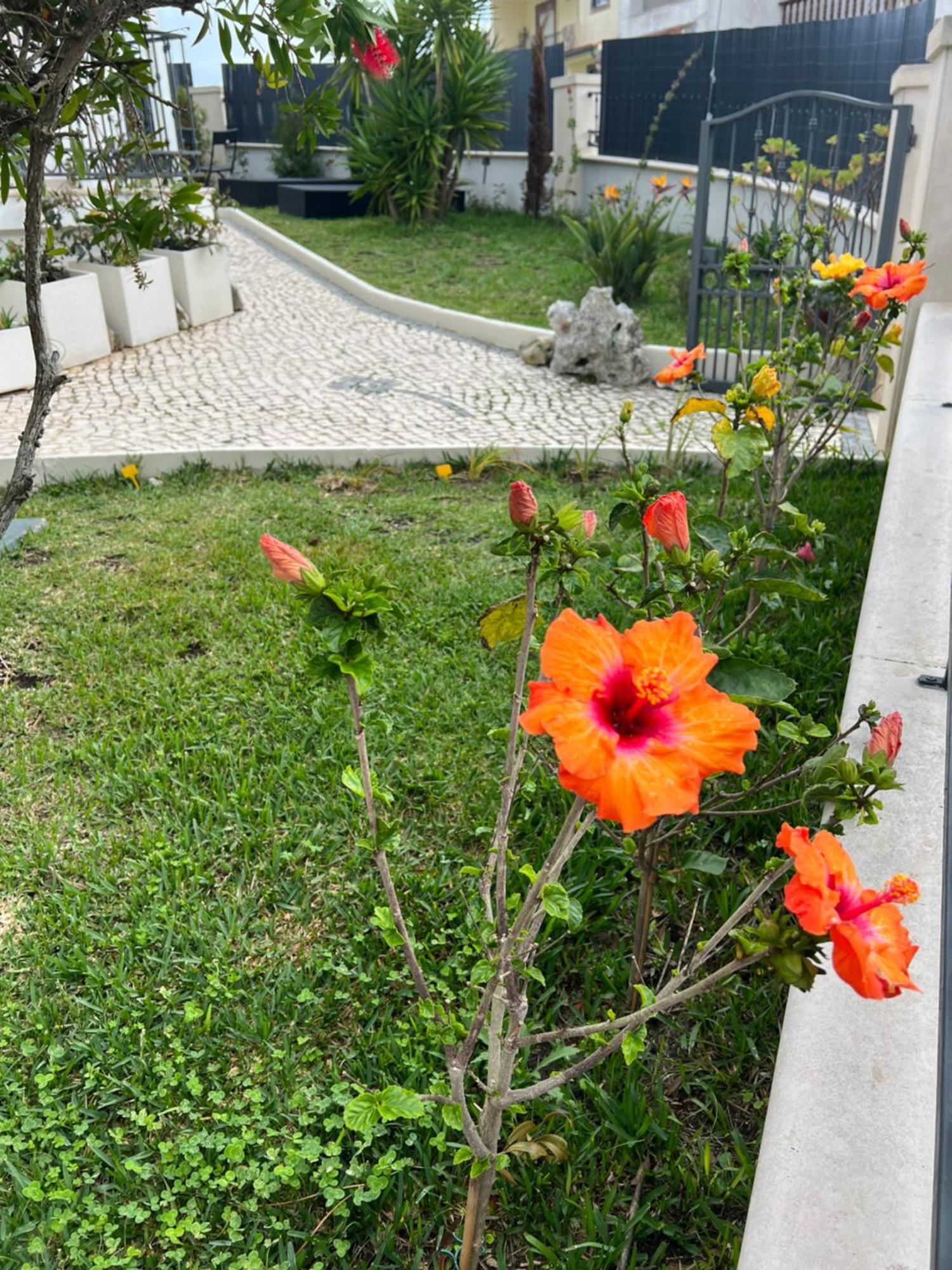 Nazare Oasis Suites Kültér fotó
